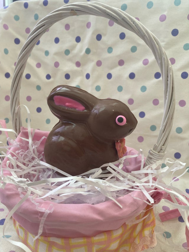 Shop All Maine Gourmet Chocolates